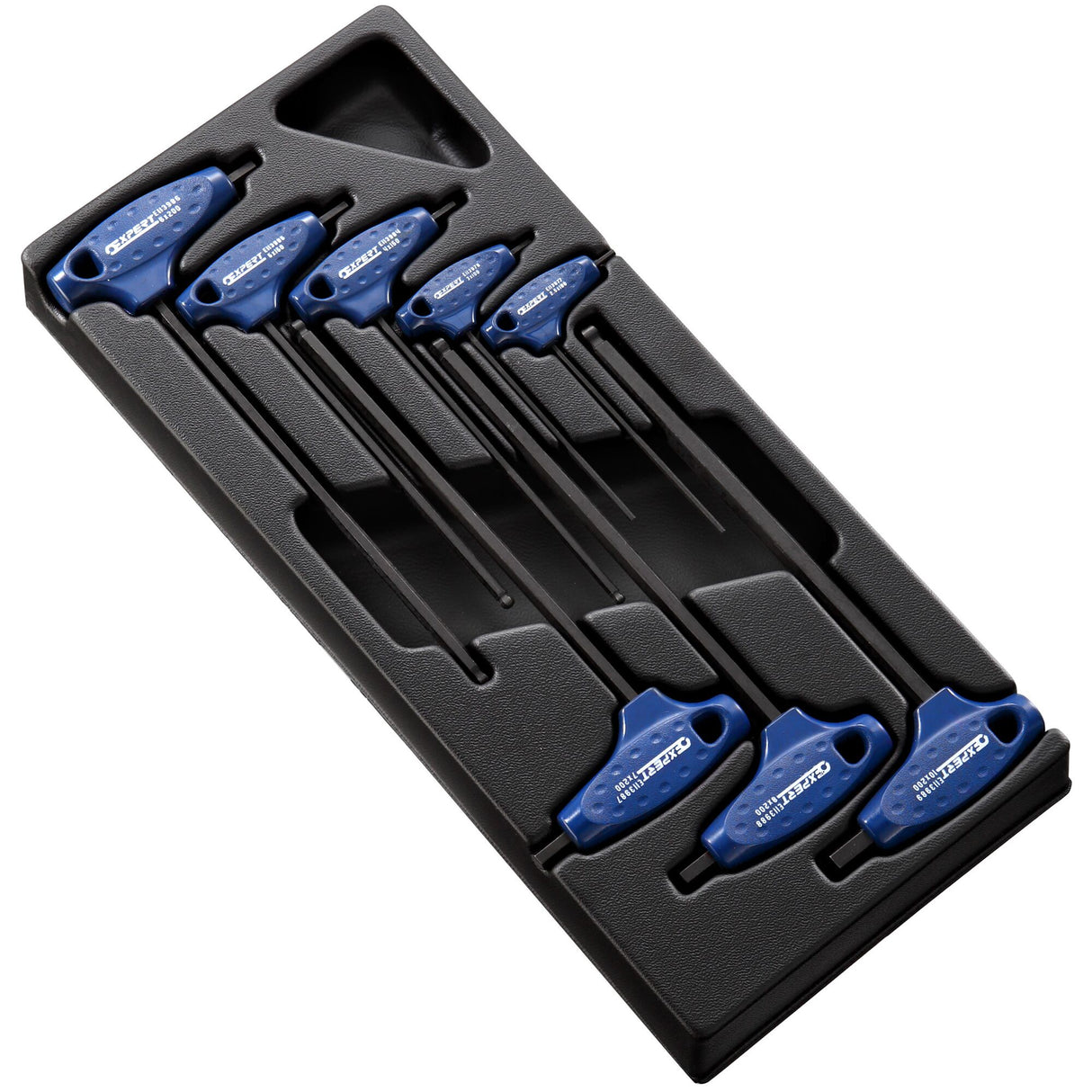 Plateau pour module E121609