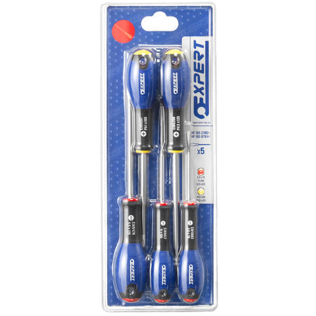 EXPERT - Jeu de 5 tournevis pour vis à fente + Phillips®