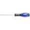 E165398 - Tournevis Resistorx®