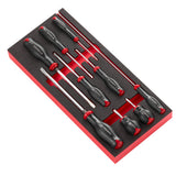 Module mousse tournevis PROTWIST® plats